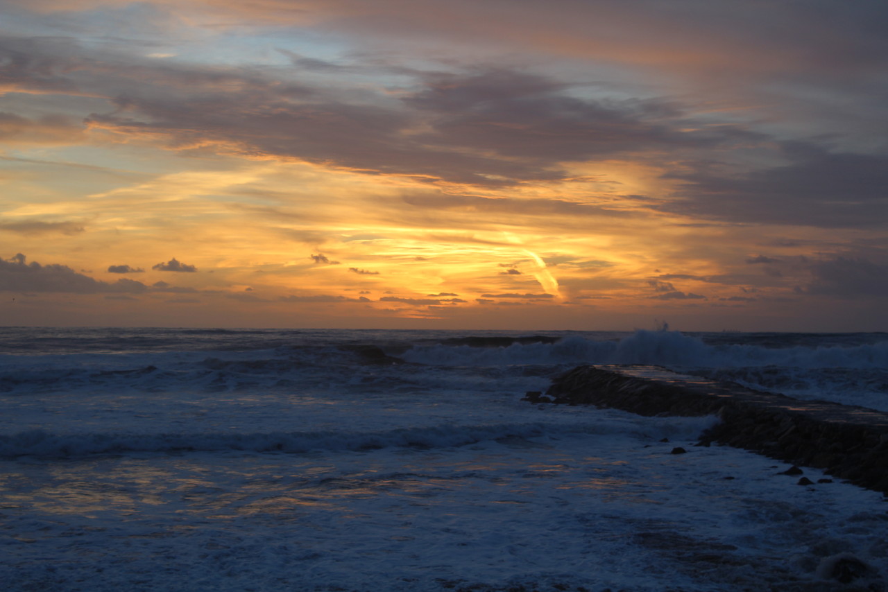 IMG_0335.JPG IMG_0335.JPG