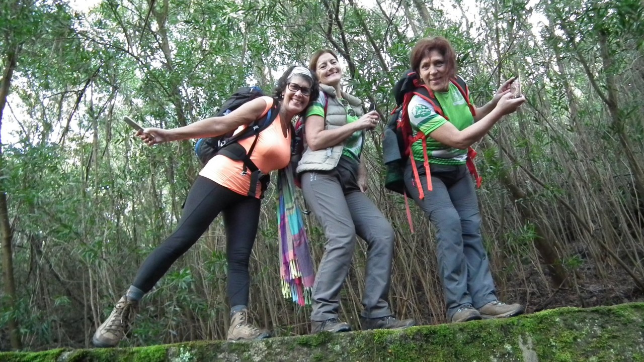 47688656_2518546494854115_3725286050789064704_o.jp