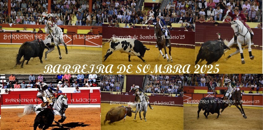 ANÁLISE CAVALEIROS.jpg