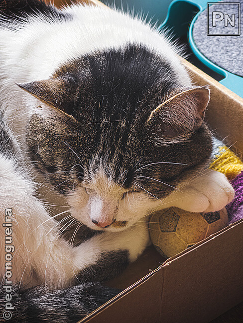 Jun_2022_023 650px.jpg