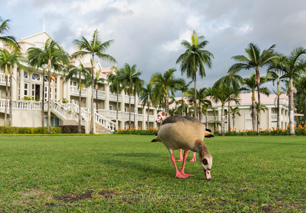 DSC01715.jpg DSC01715.jpg