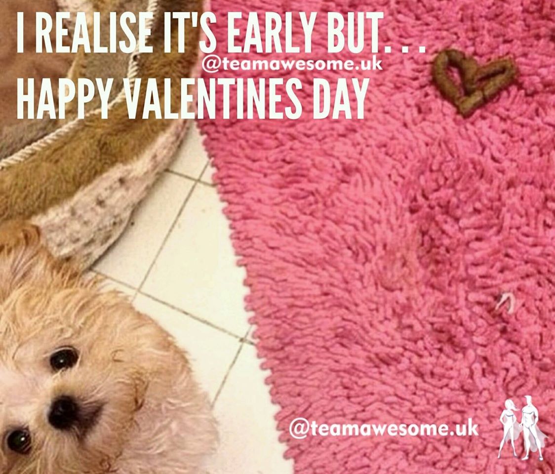 16602116_1548359641844787_7371198436760319034_o.jp