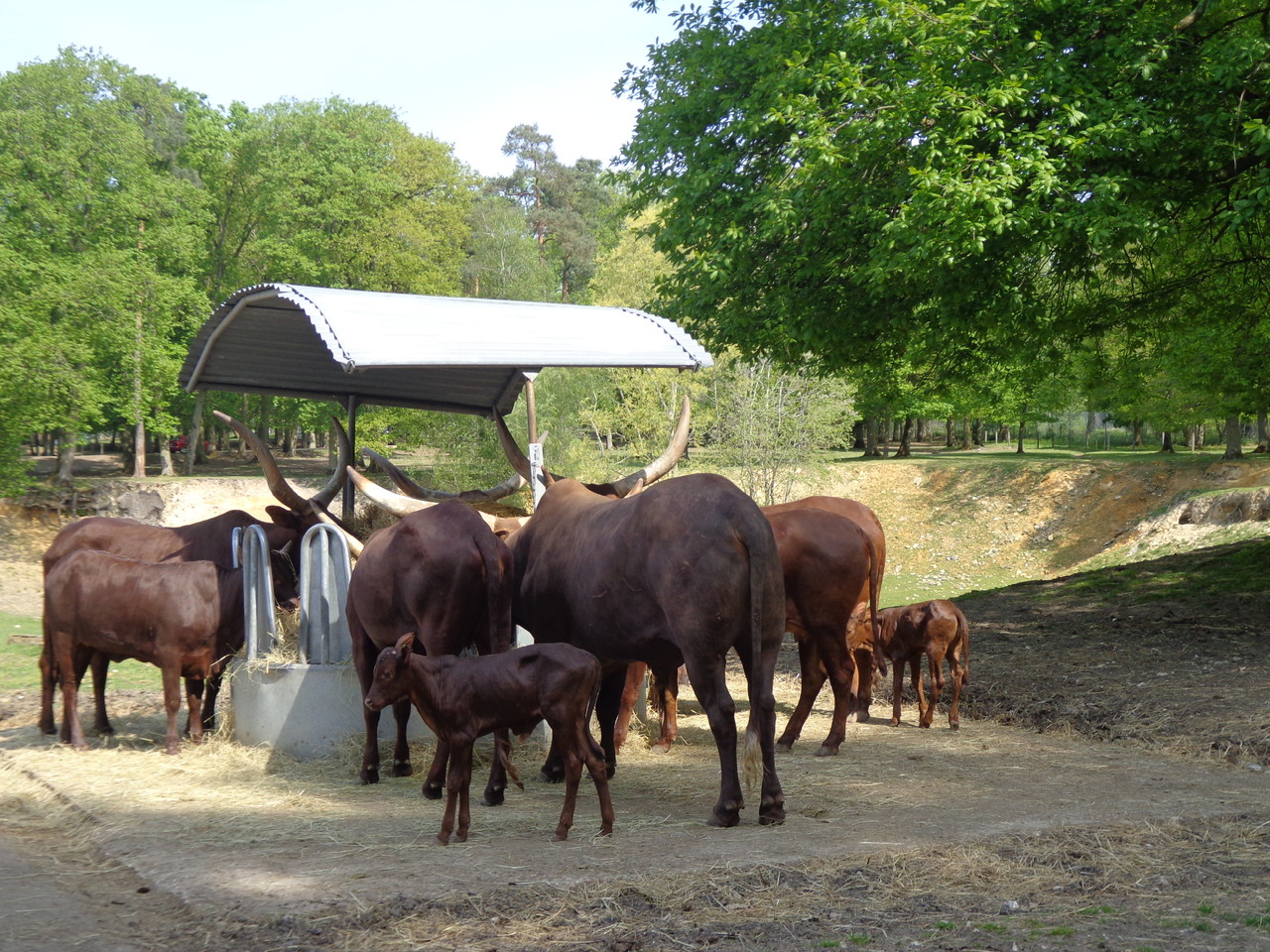 DSC09334.JPG DSC09334.JPG