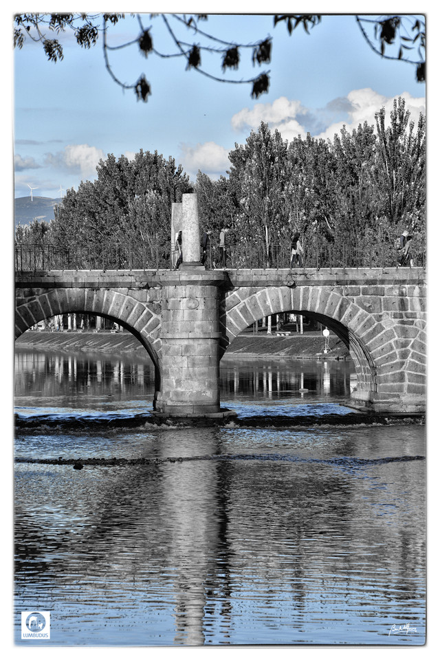 _D709870ab.jpg
