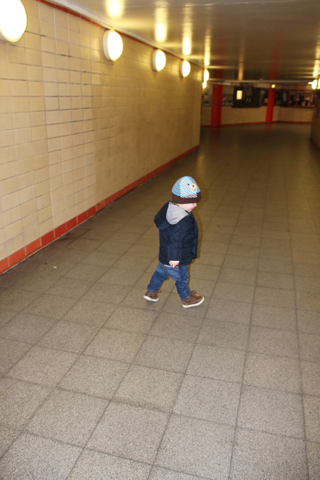 IMG_2023.JPG IMG_2023.JPG