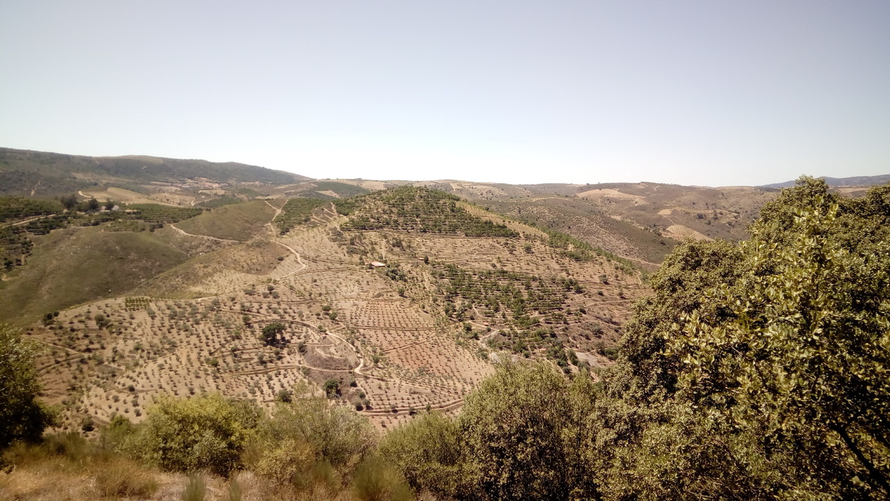 IMG_20170701_150325.jpg IMG_20170701_150325.jpg