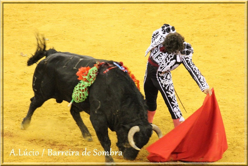 IMG_6760.JPG IMG_6760.JPG