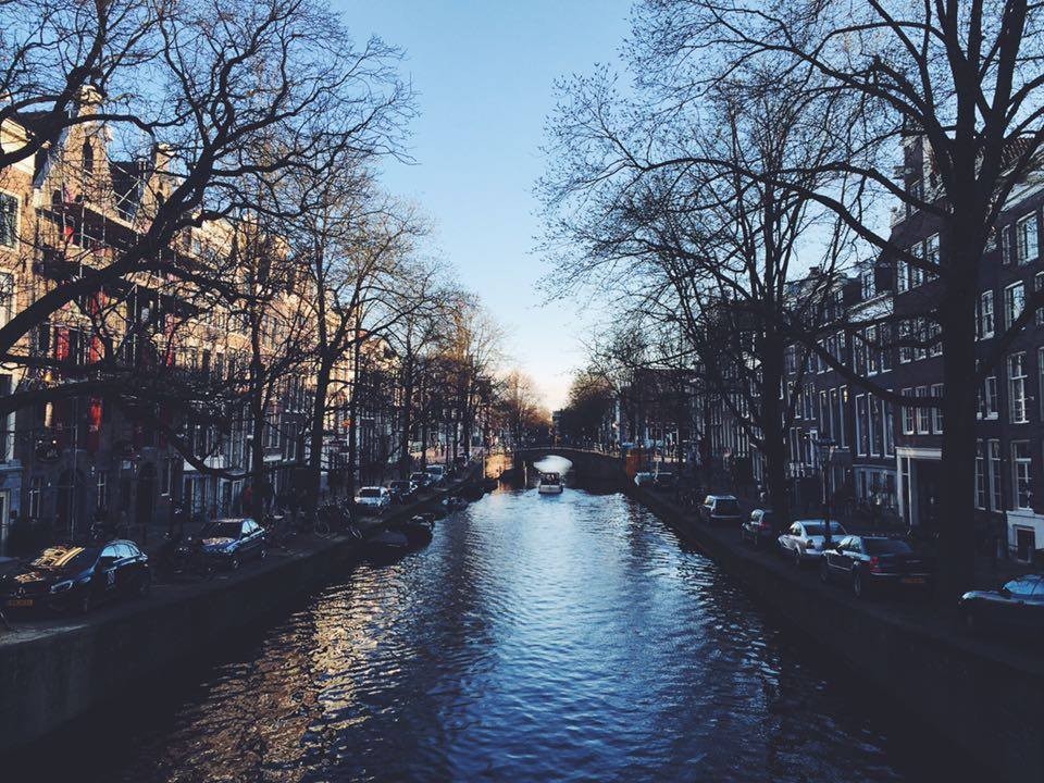 12270066_10204987064859401_1877080170_n.jpg 12270066_10204987064859401_1877080170_n.jpg