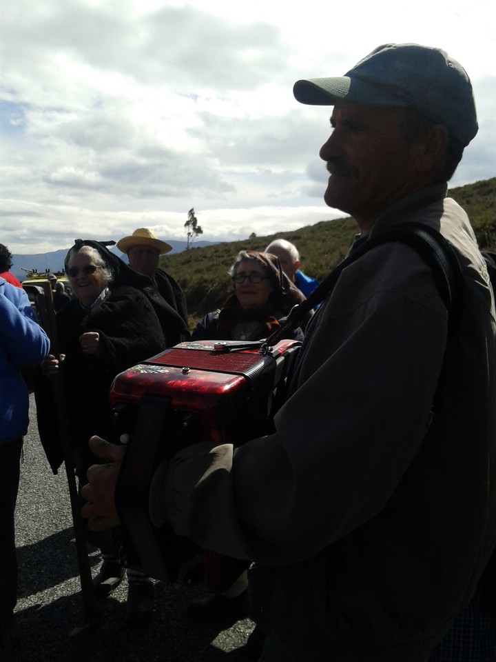 Plantacao500Arvores_7