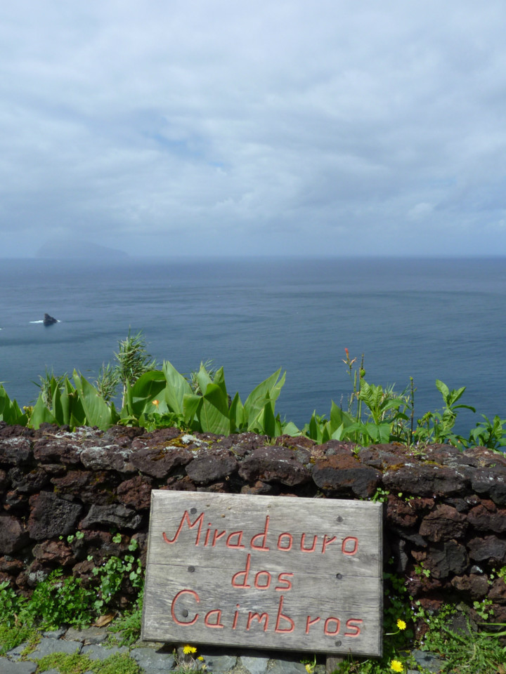 Caimbros, Flores (1).jpg