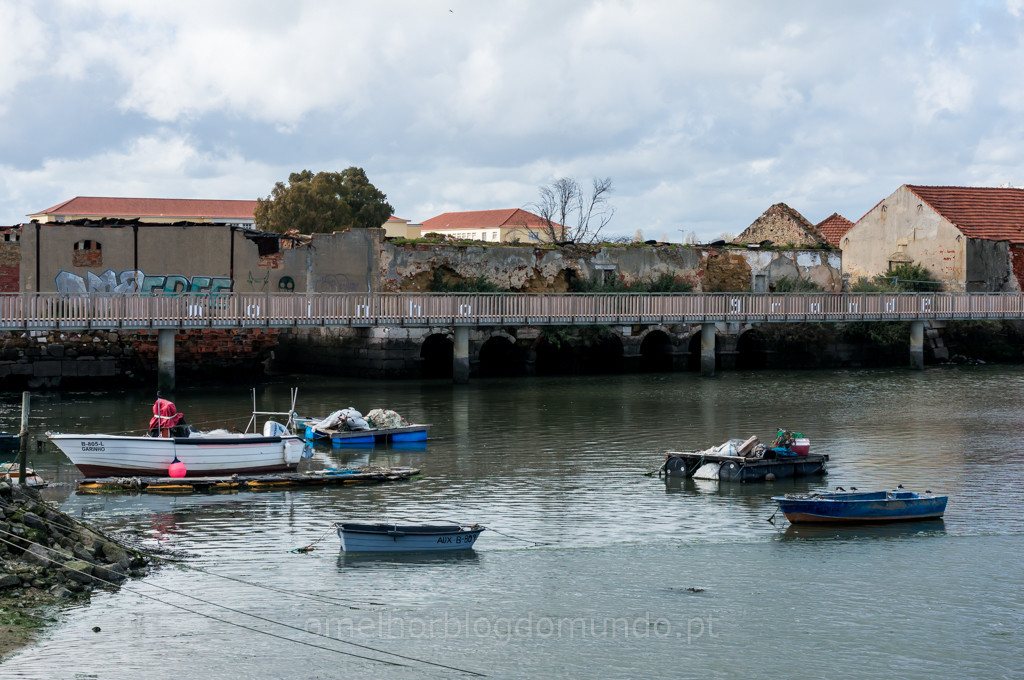 _DSC5561.jpg _DSC5561.jpg