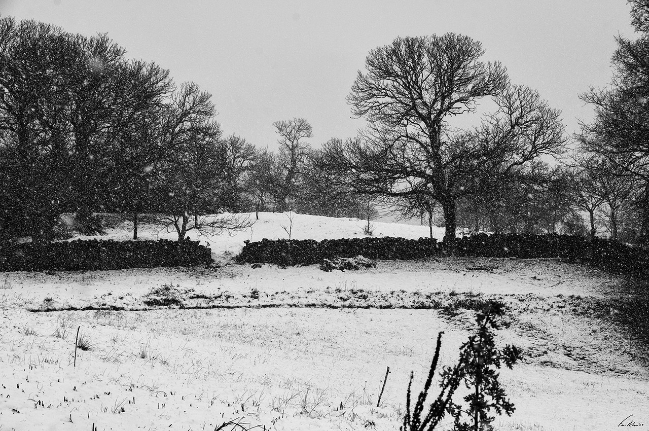 1600-meixide (5).jpg