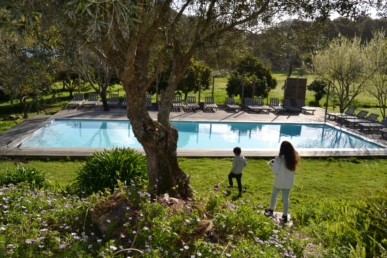 DSC_0858.jpg DSC_0858.jpg