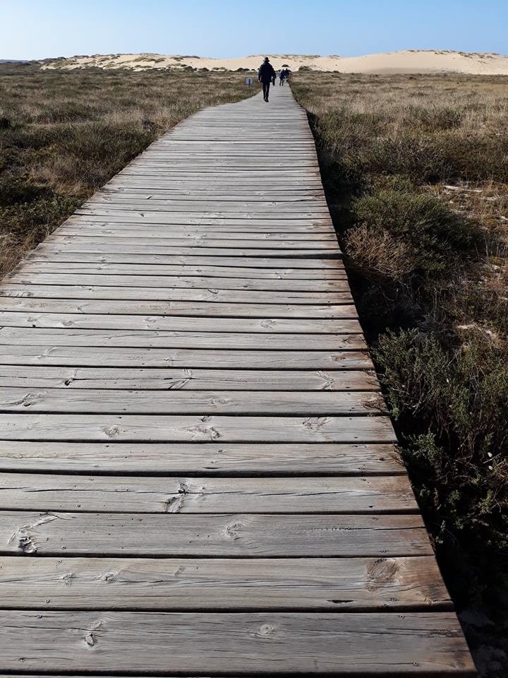 43411161_2274573352570136_7293419763613564928_n.jp