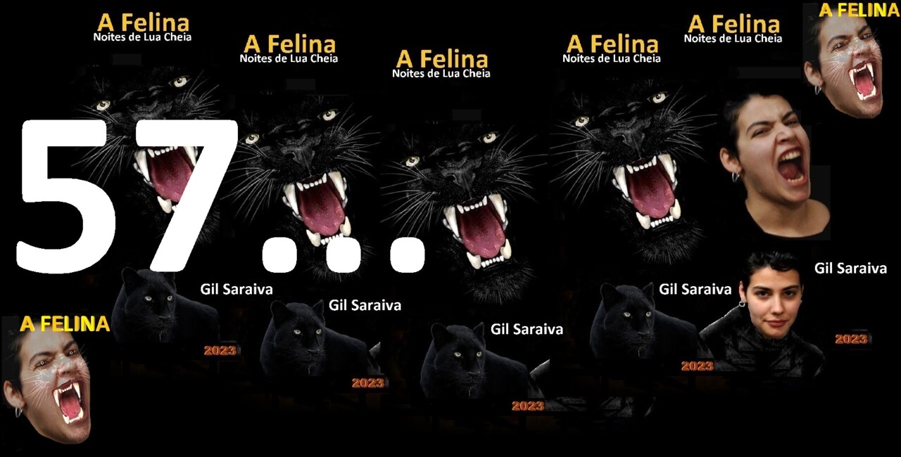 A Felina - 57.jpg