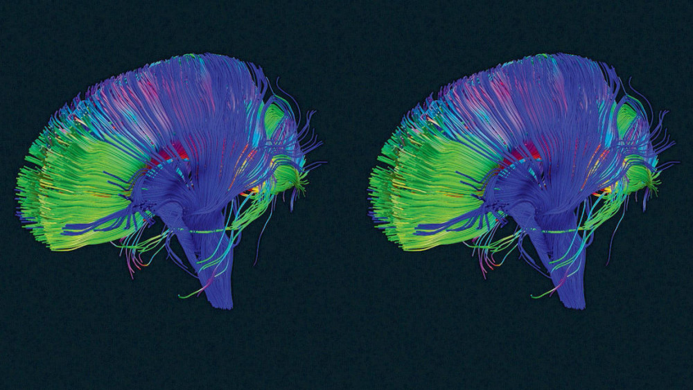 3059634-poster-p-2-your-most-productive-selfyour-b