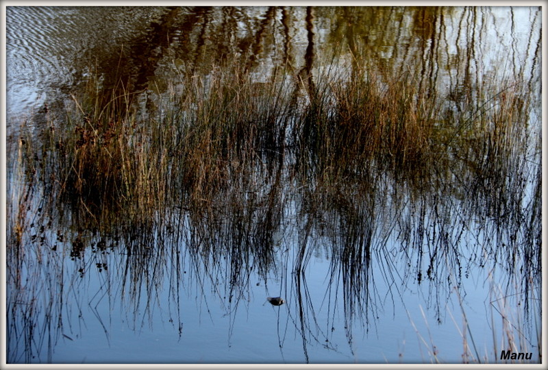 IMG_0041.JPG IMG_0041.JPG