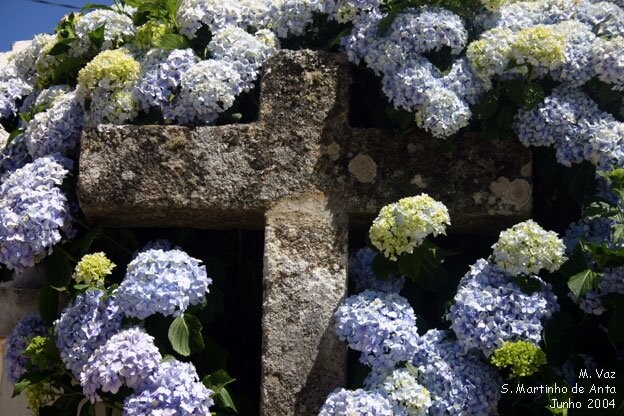 DIA DA SANTA CRUZ.jpg