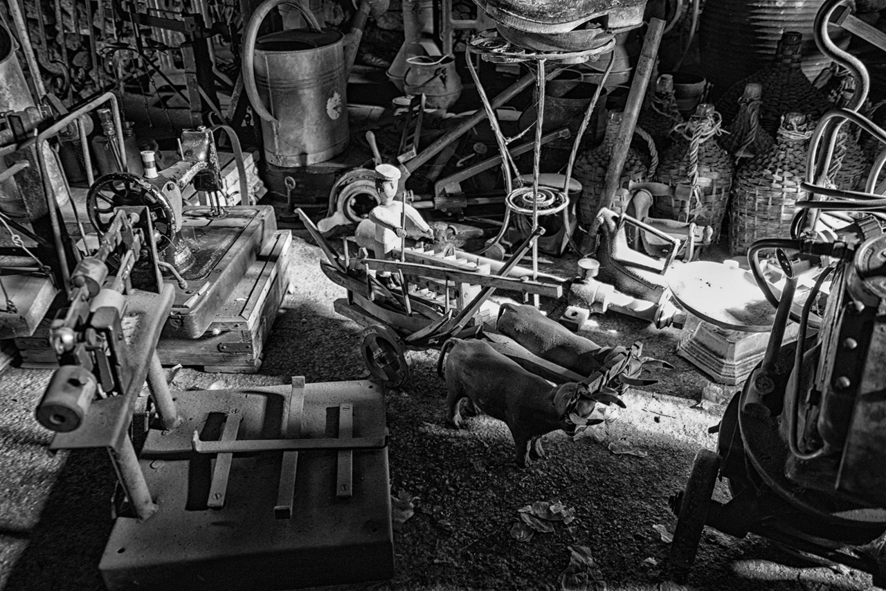 S. André - março 2016 019 - cópia copy - co S. André - março 2016 019 - cópia copy - co