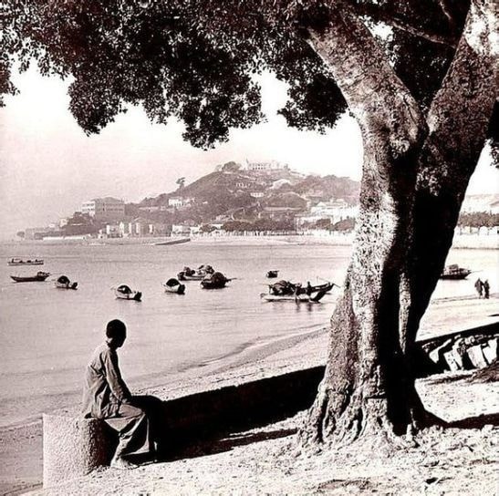 110319860_1629607910539828_4943987102946249996_n.j