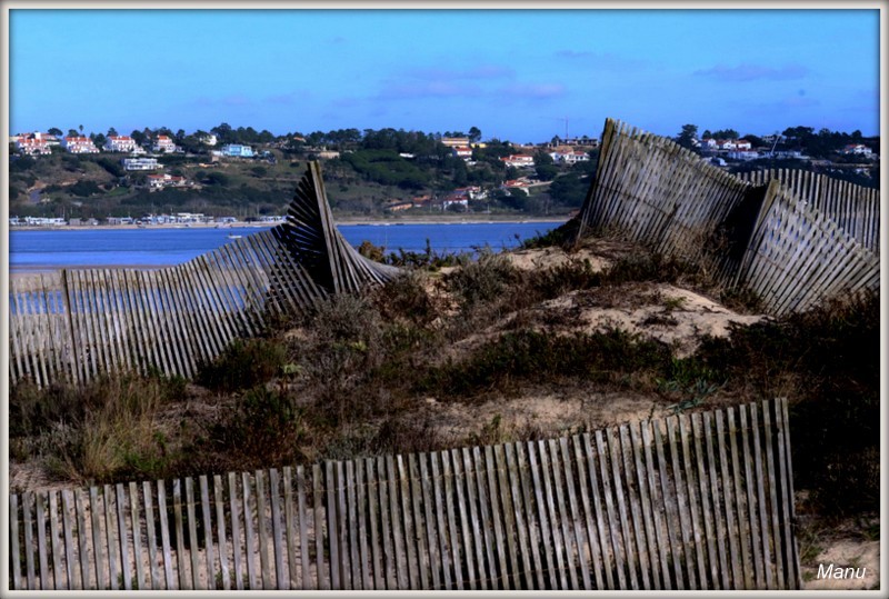 IMG_4521 madeira.jpg IMG_4521 madeira.jpg