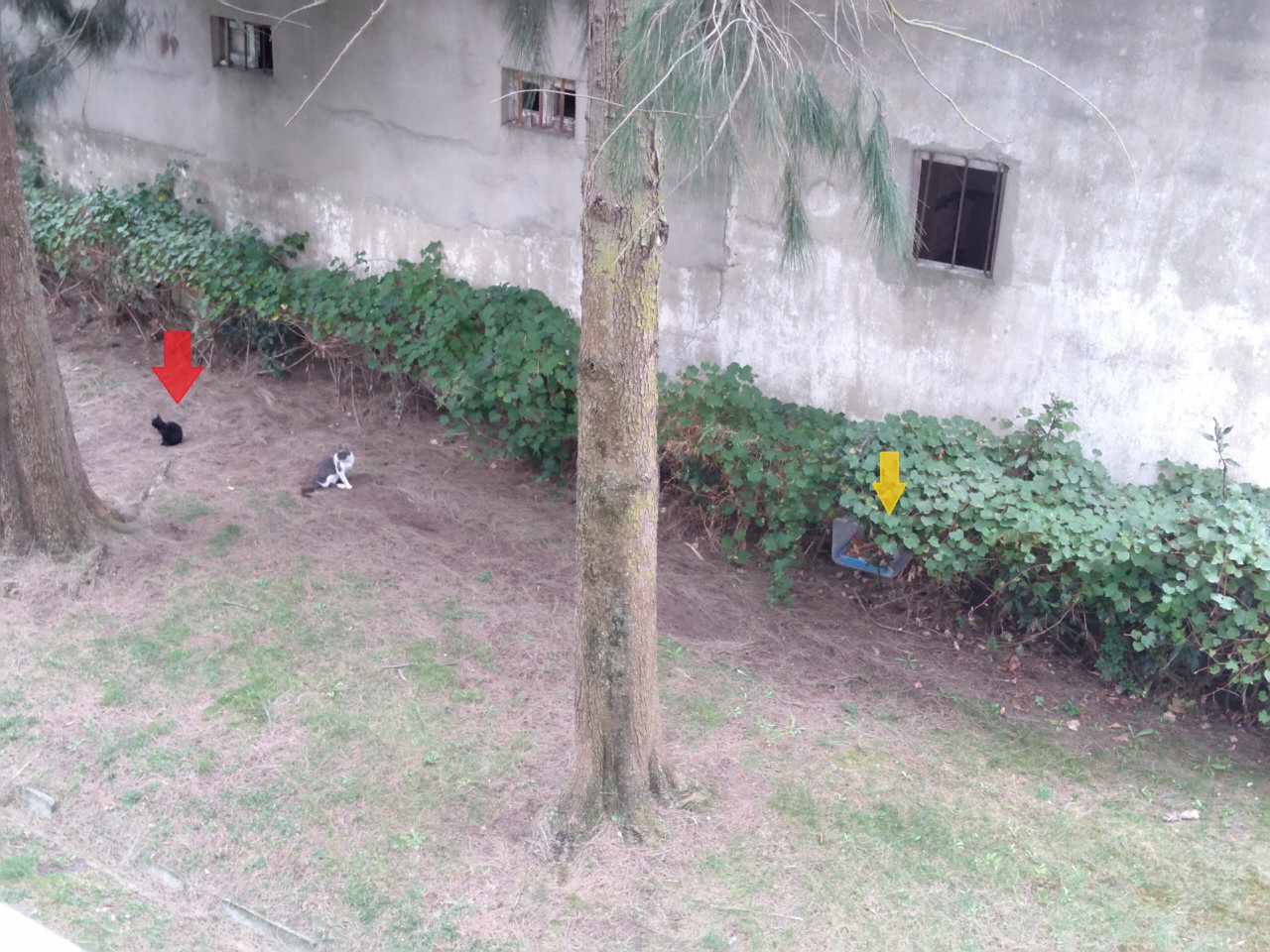 IMG_20190920_162333.jpg IMG_20190920_162333.jpg