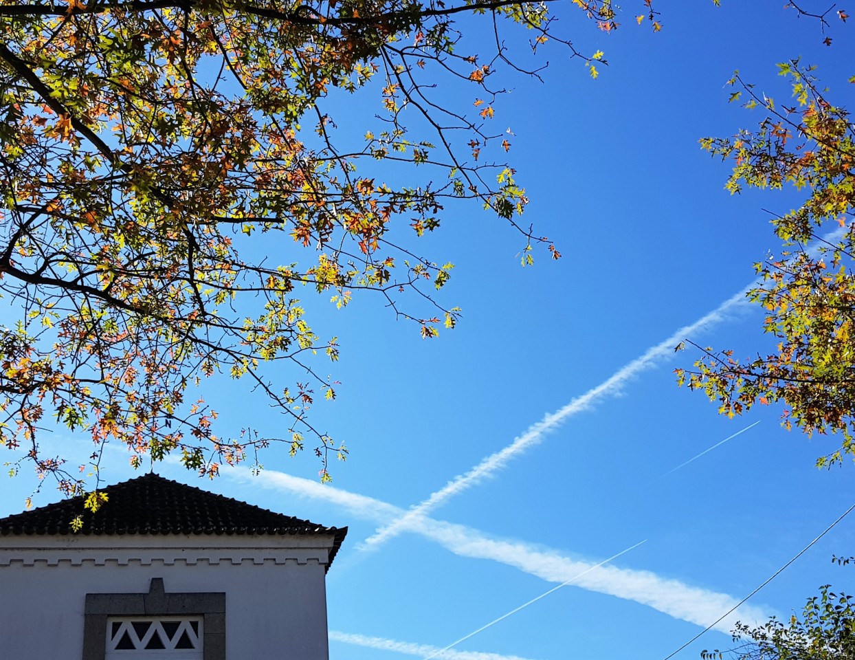 20171025_133244 (2).jpg