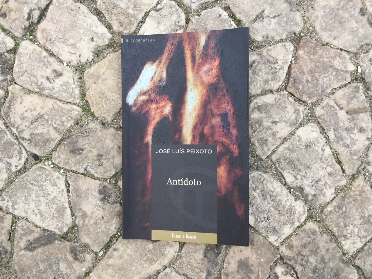 thumbnail_IMG_1556.jpg thumbnail_IMG_1556.jpg