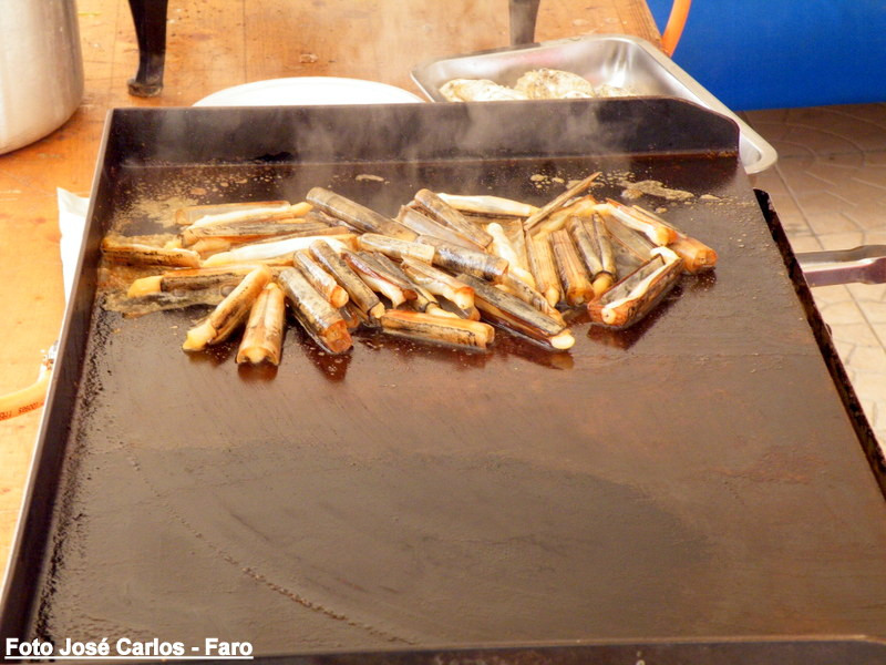 Derby Faro 2016 072.JPG