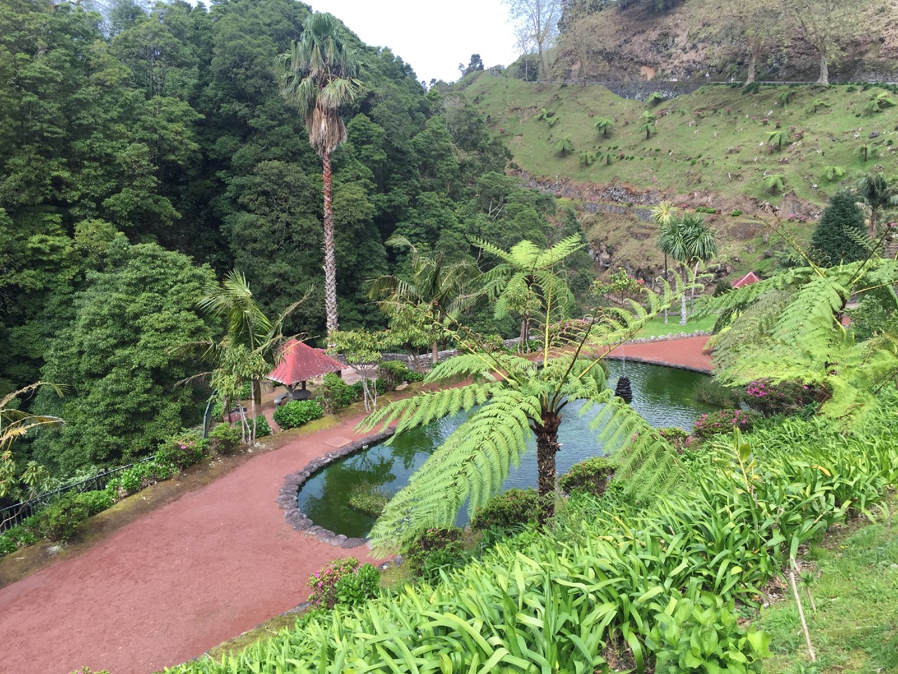 IMG_3976.JPG IMG_3976.JPG