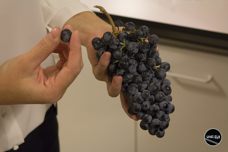 Campo_Maior_Originais-001071.jpg Campo_Maior_Originais-001071.jpg