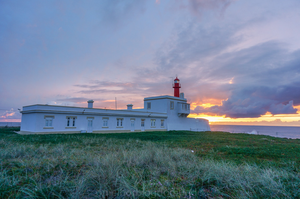 DSC07907.jpg DSC07907.jpg