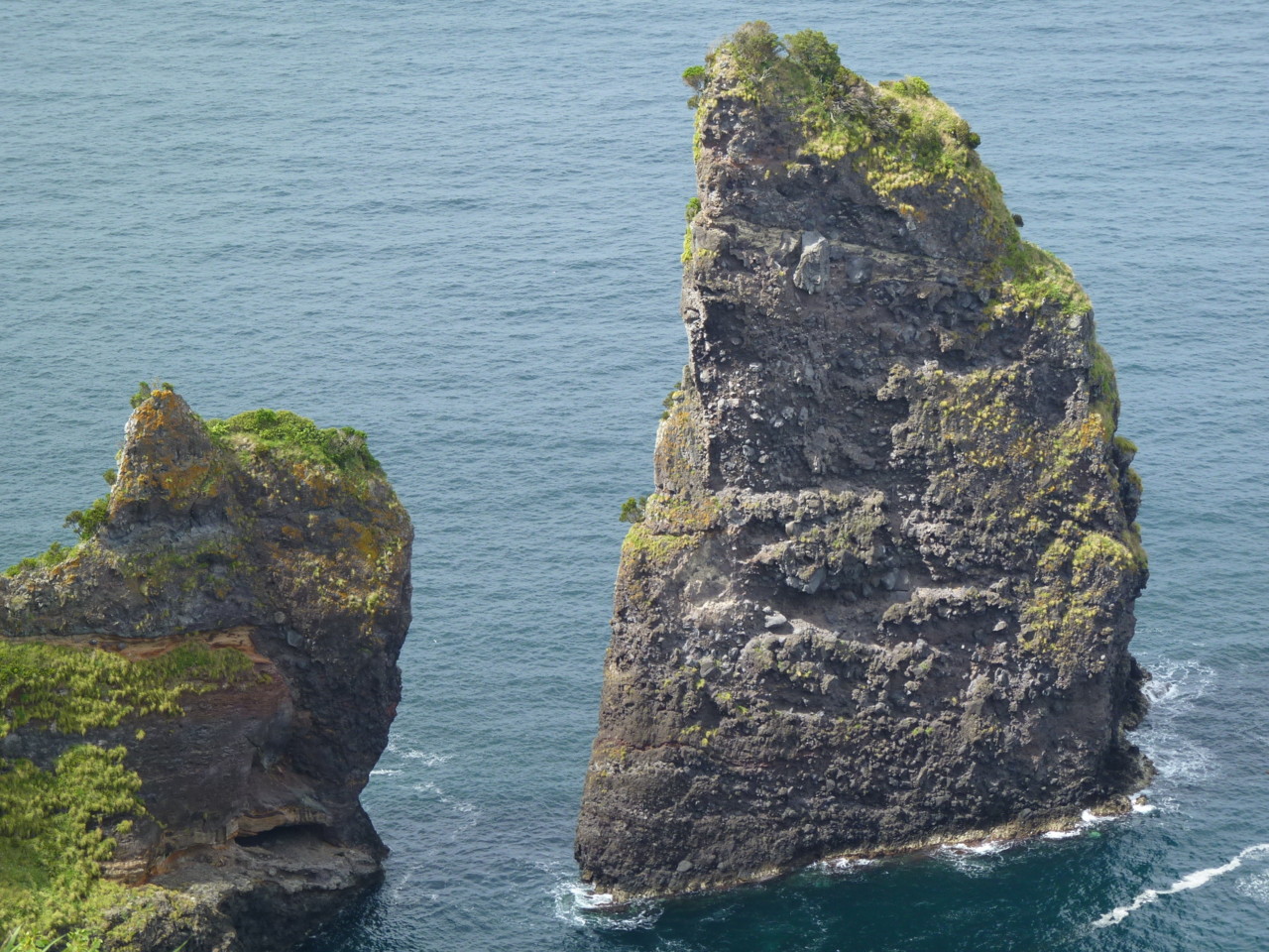 Caimbros, Flores (3).JPG