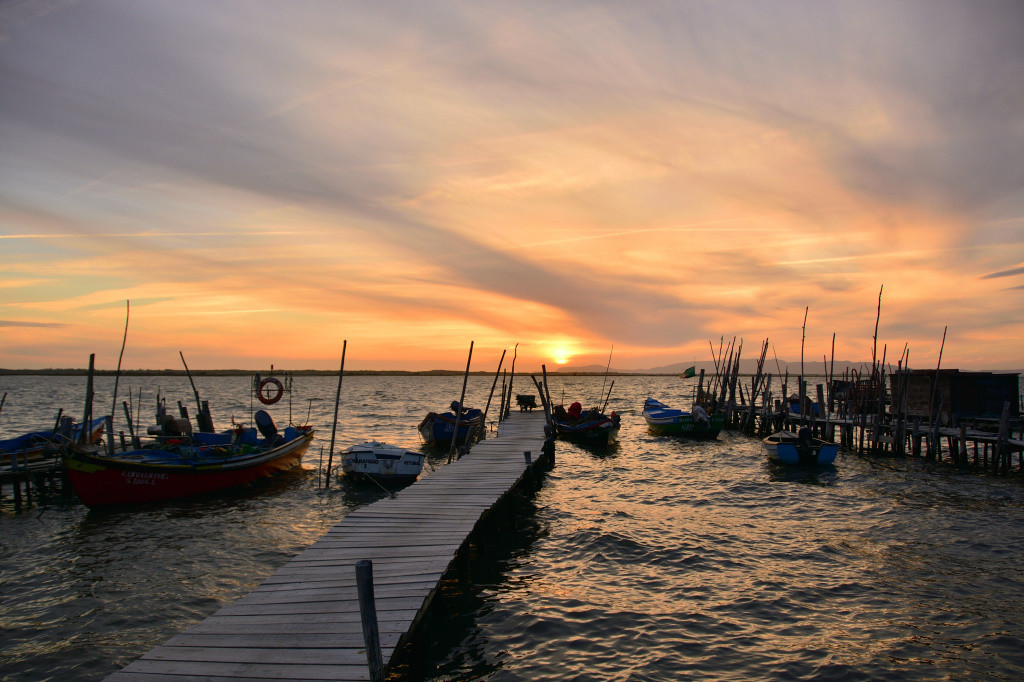 DSC_2982_01_00034.jpg DSC_2982_01_00034.jpg