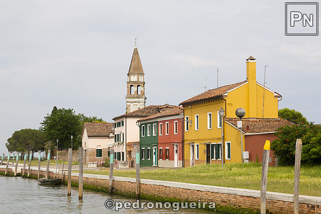 _MG_1185 650px.jpg _MG_1185 650px.jpg