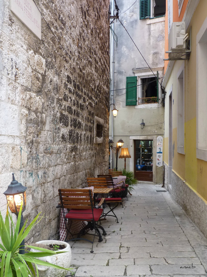 P1380927 cópia assin.jpg