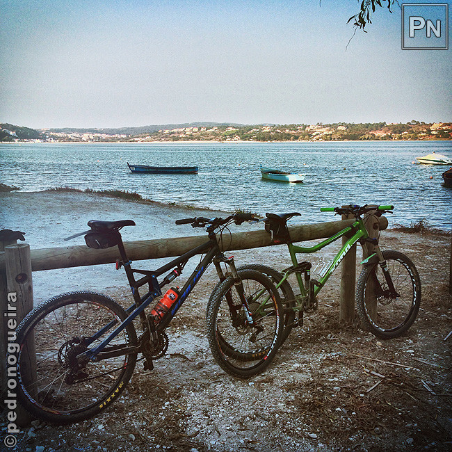 Out_2017_030b 650px.jpg