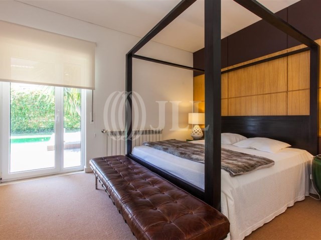 aroeira5.jpg aroeira5.jpg