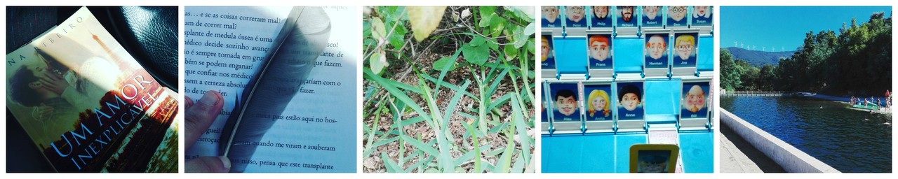 PicMonkey Collage2.jpg