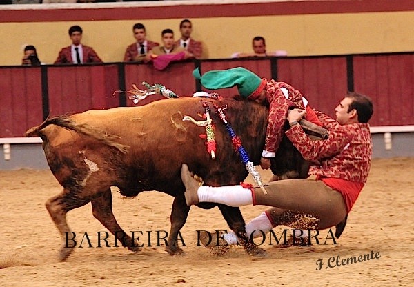barreira de sombra23-23-41-DSC_9830.JPG barreira de sombra23-23-41-DSC_9830.JPG