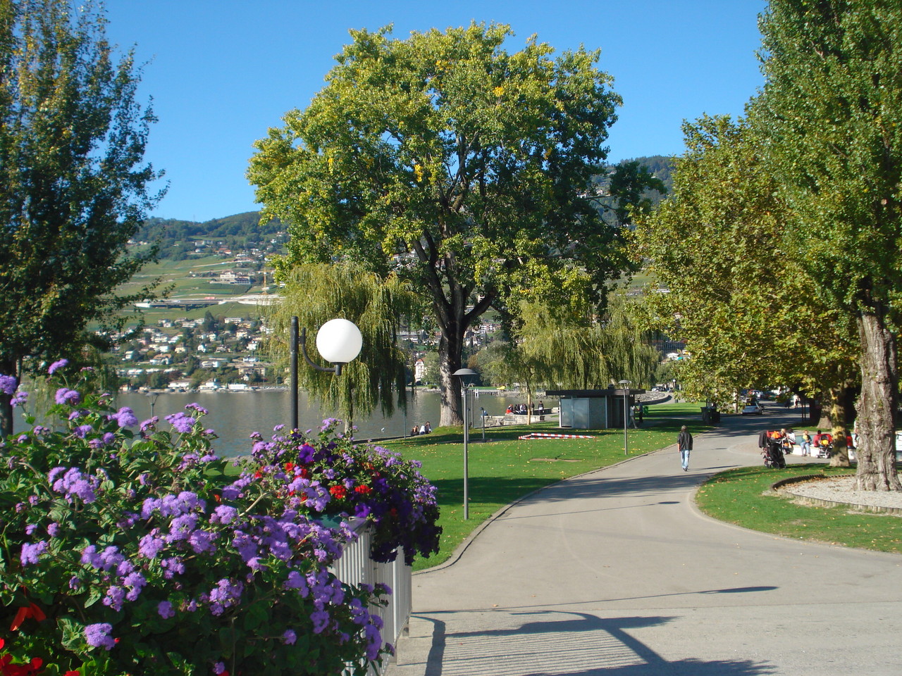 DSC09905.JPG DSC09905.JPG