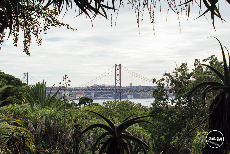 Tapada_da_Ajuda_Lisboa-001528.jpg Tapada_da_Ajuda_Lisboa-001528.jpg