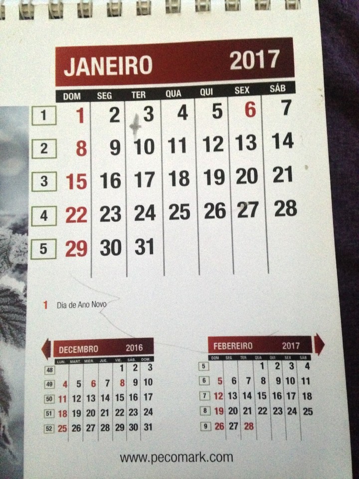 IMG_2921.JPG IMG_2921.JPG