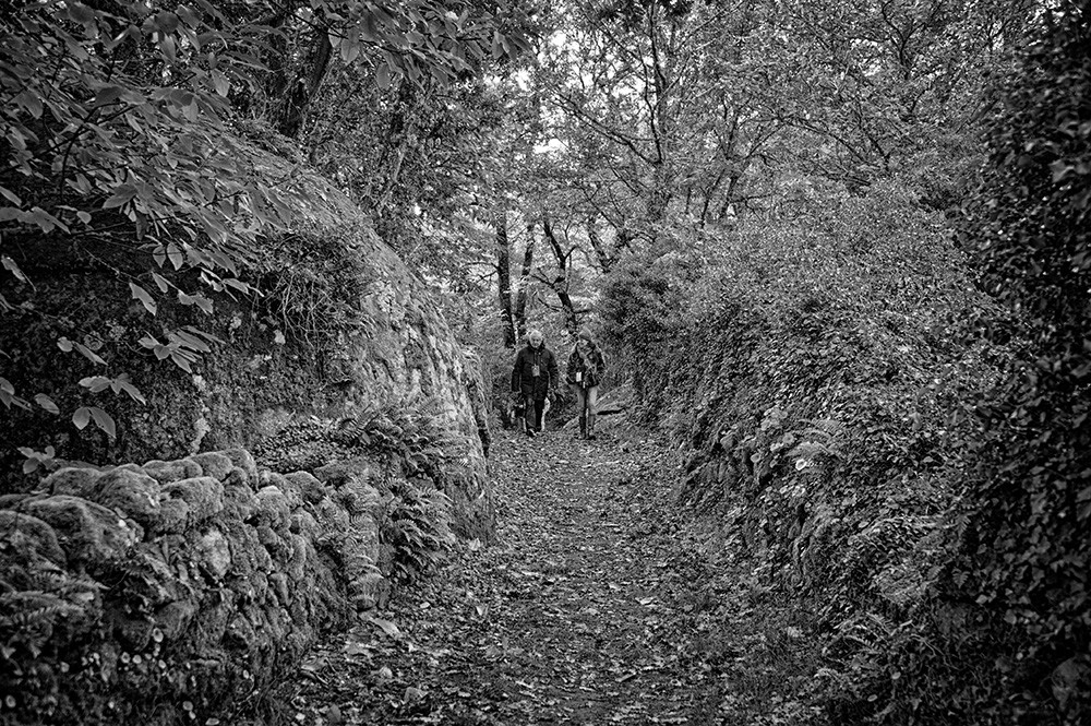 _JMD9386 - Cópia.jpg