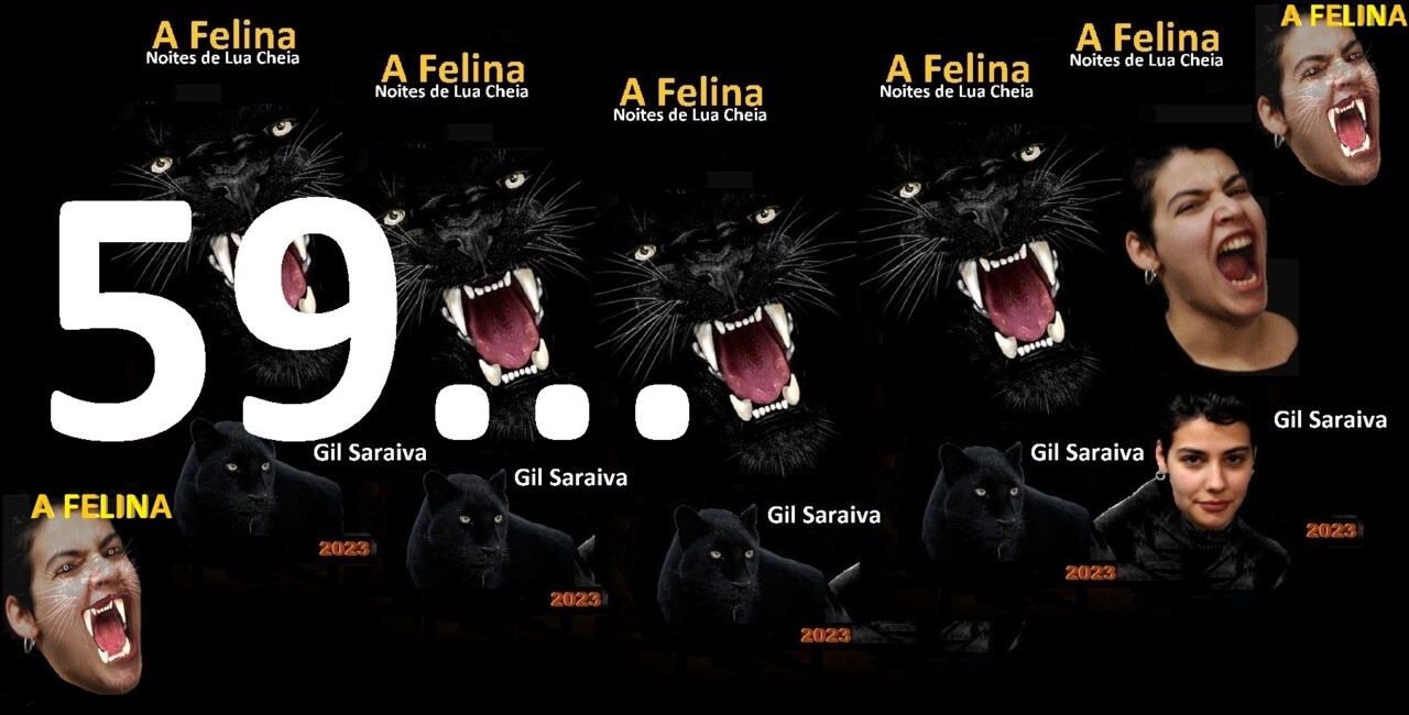 A Felina - 59.jpg