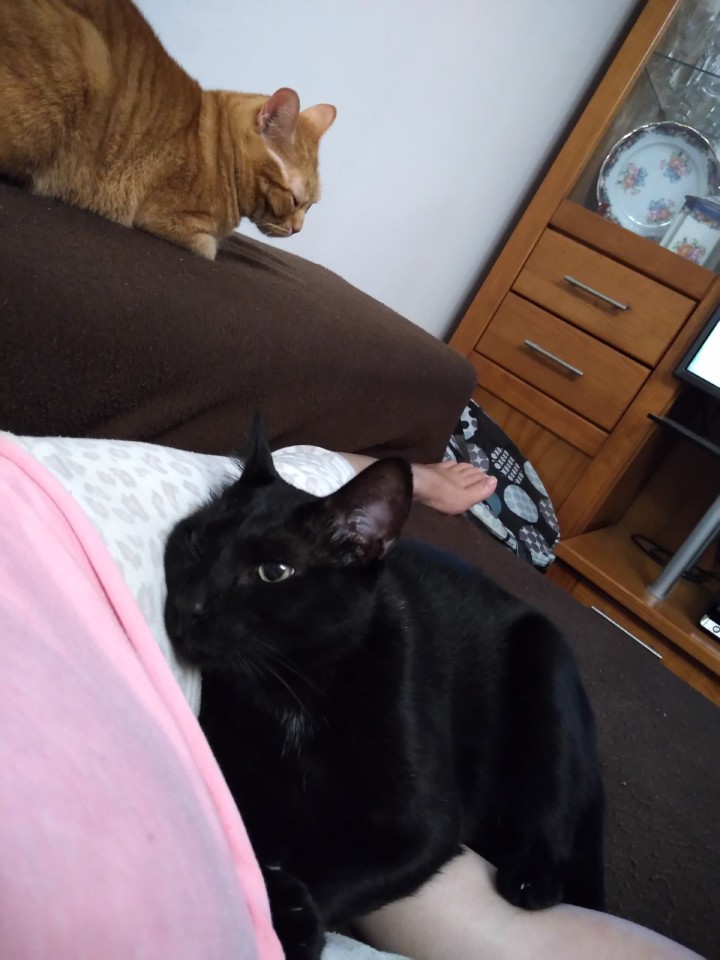 IMG_20191015_213715.jpg IMG_20191015_213715.jpg