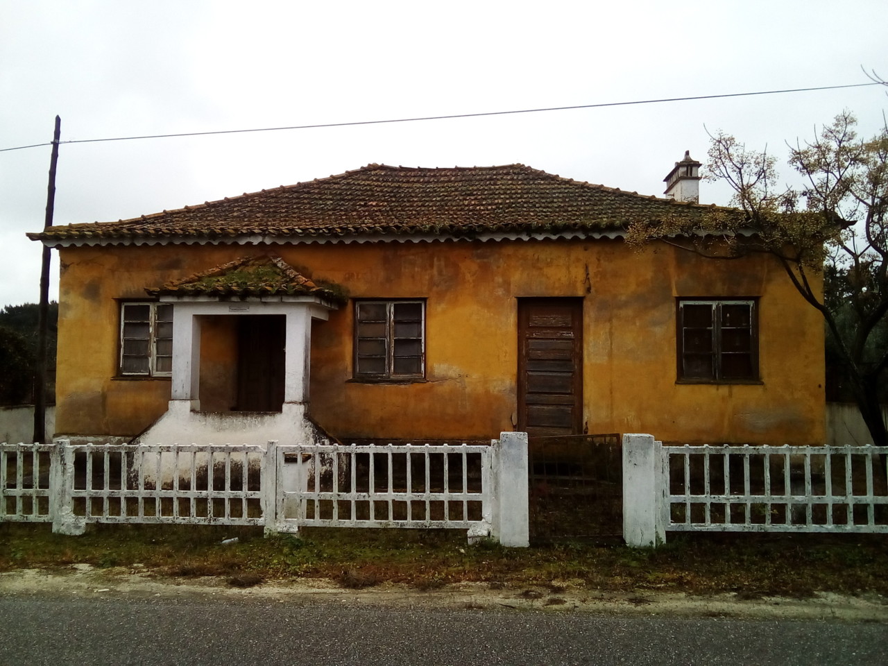 IMG_20190131_104043.jpg IMG_20190131_104043.jpg