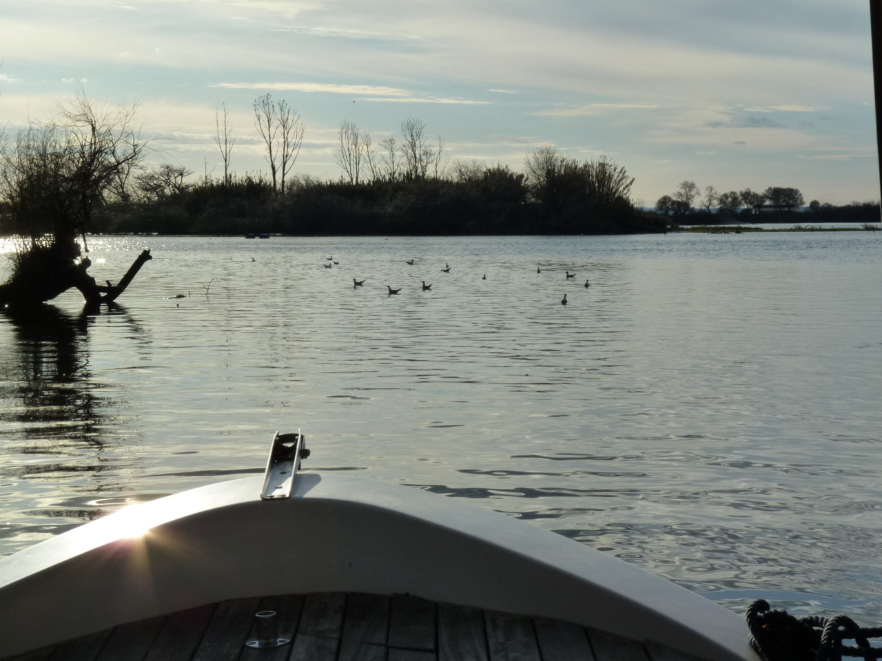 Passeio de barco (1).JPG