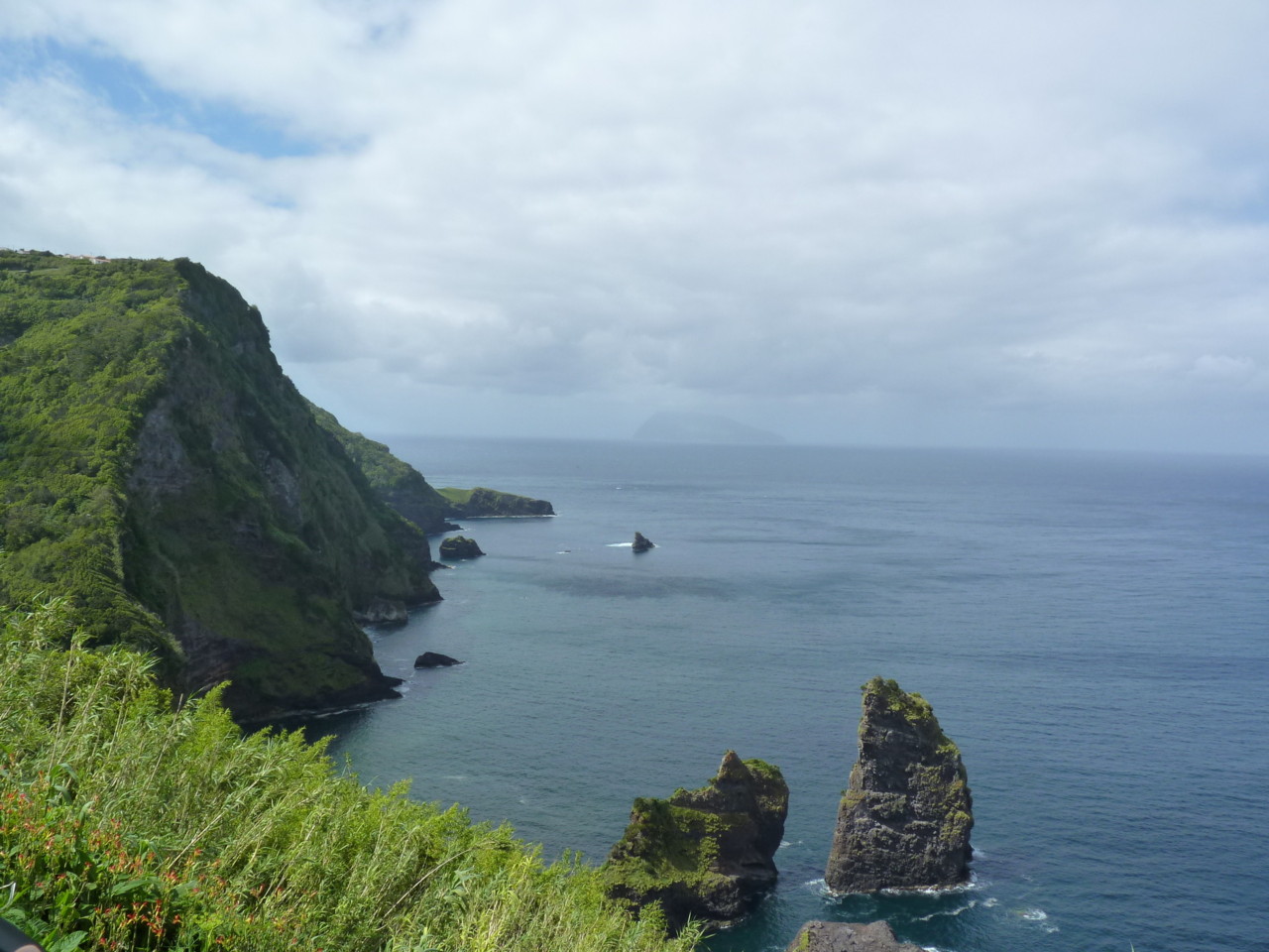 Caimbros, Flores (2).JPG