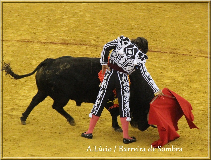 IMG_6614.JPG IMG_6614.JPG